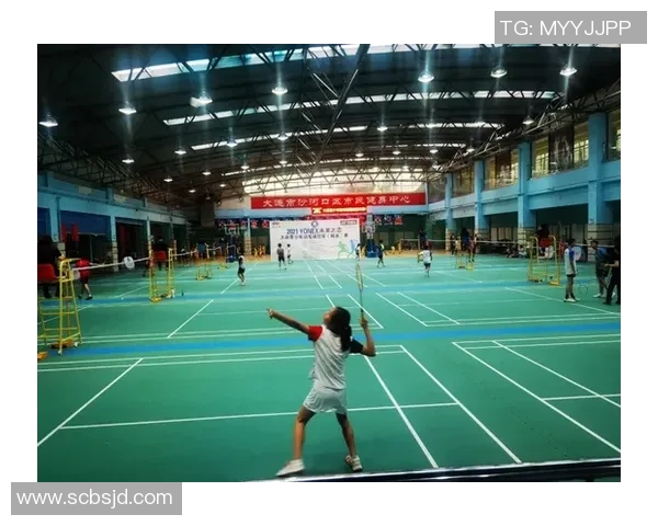 羽毛球顶级赛事回顾与未来展望